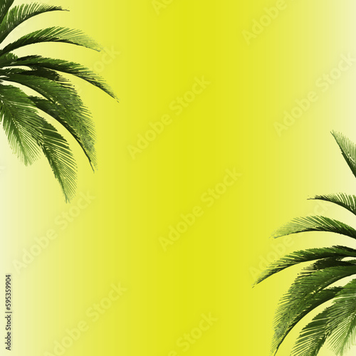 Green tropical palm leaves on a yellow background. A simple beautiful summer concept	