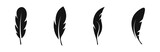 Feather vector icons. Feather silhouette. Bird feather icon set. EPS 10