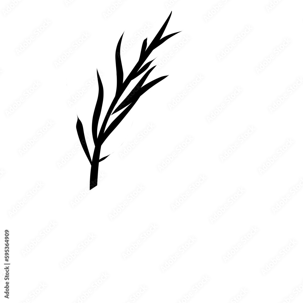 Palm Leaf vector Palm Leaf vector