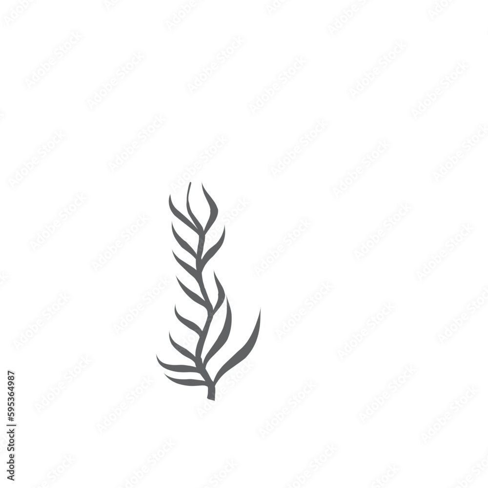 Palm Leaf vector