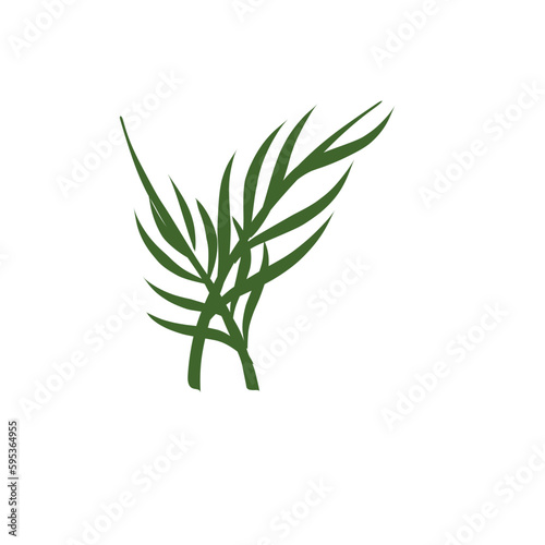 Palm Leaf vector