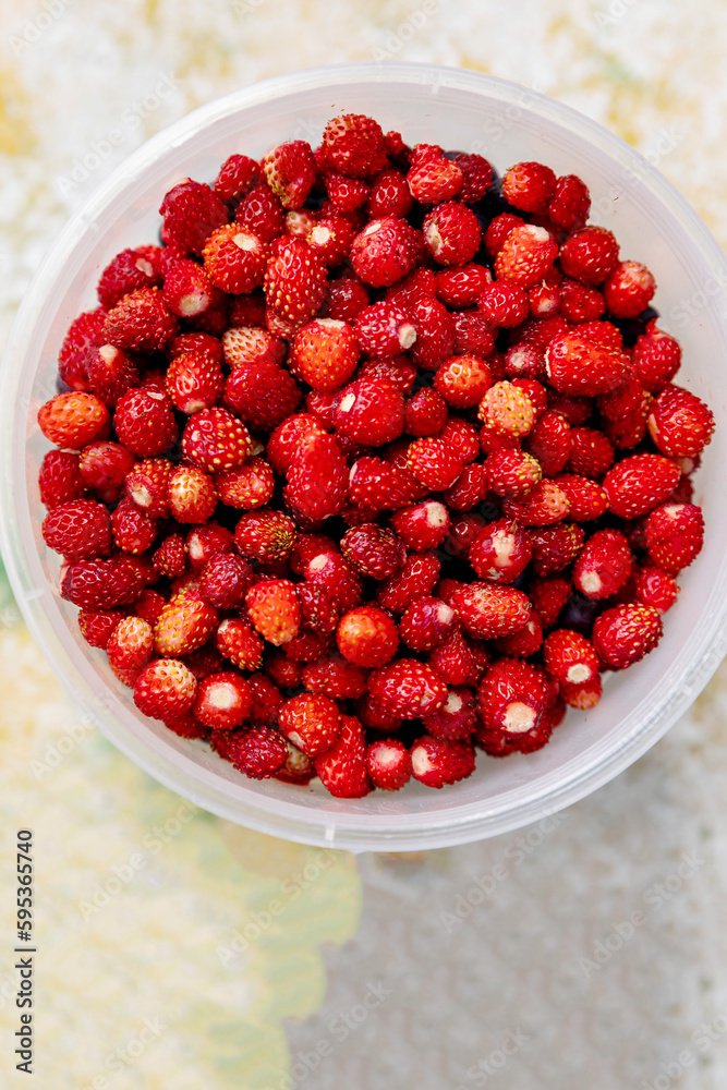 Ripe wild strawberries in a bowl. Natural berries are a source of vitamins and are good for health.Fresh Organic Strawberries.Summer harvesting concept.healthy detox food Ripe wild strawberries in a bowl. Natural berries are a source of vitamins and are good for health.Fresh Organic Strawberries.Summer harvesting concept.healthy detox food