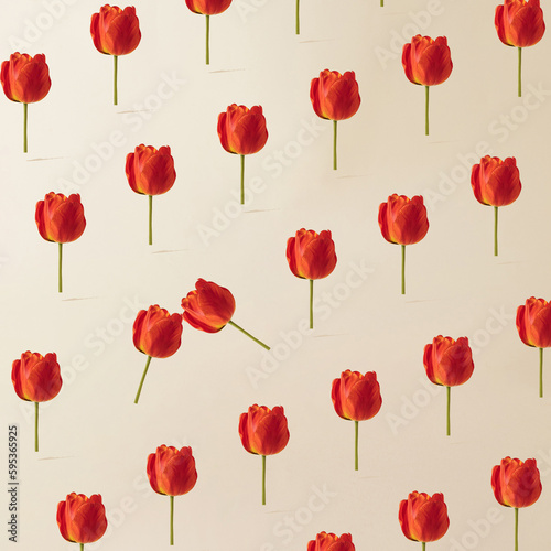 Tulip flower pattern to bright background. Minimal concept.