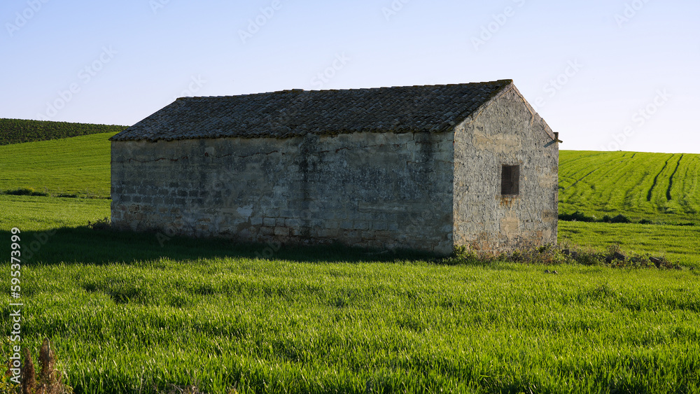 Obraz premium Capannone abbandonato in un prato d'erba verdeggiante.