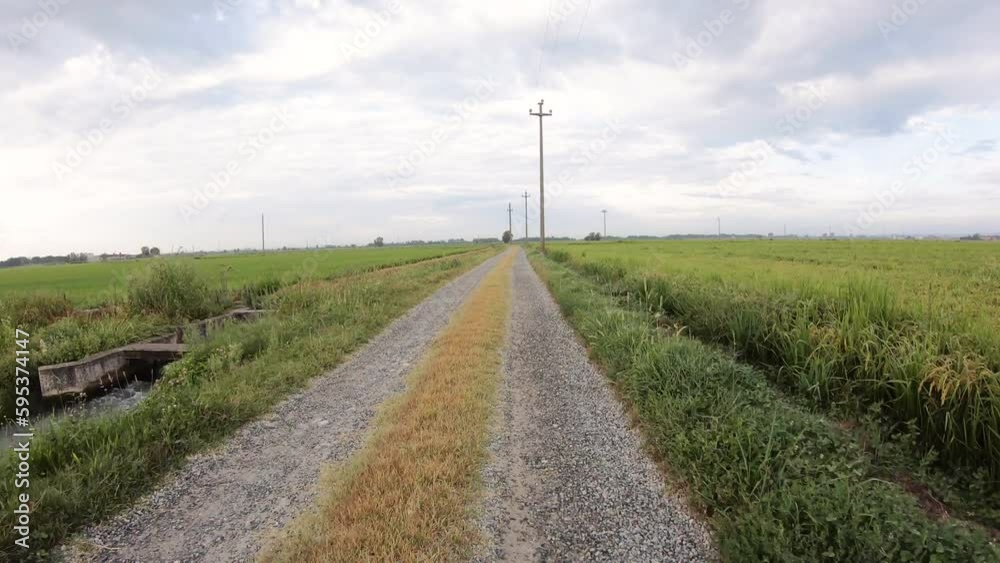 Via Francigena - gravel road through rice fields after Santhia, province of Vercelli, Piedmont, Italy Via Francigena - gravel road through rice fields after Santhia, province of Vercelli, Piedmont, Italy