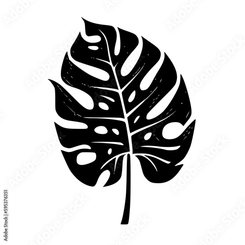 Monstera | Black and White Vector illustration