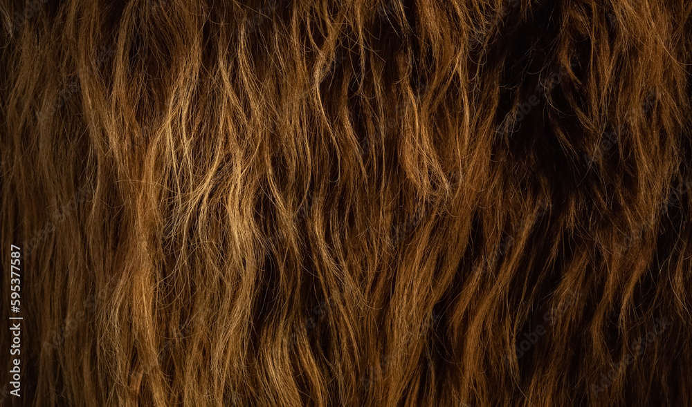 Naklejka premium Brown hair texture, abstract background