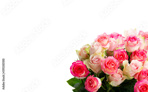 fresh rose flowers