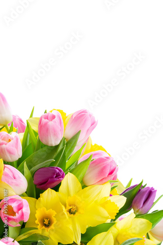 Fototapeta Naklejka Na Ścianę i Meble -  tulips and daffodils flowers