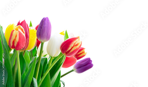 Fototapeta Naklejka Na Ścianę i Meble -  fresh tulips flowers