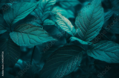 close-up of a green and blue leaf background wallpaper