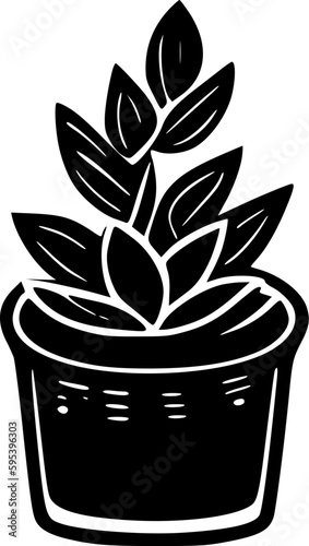 Succulent | Black and White Vector illustration