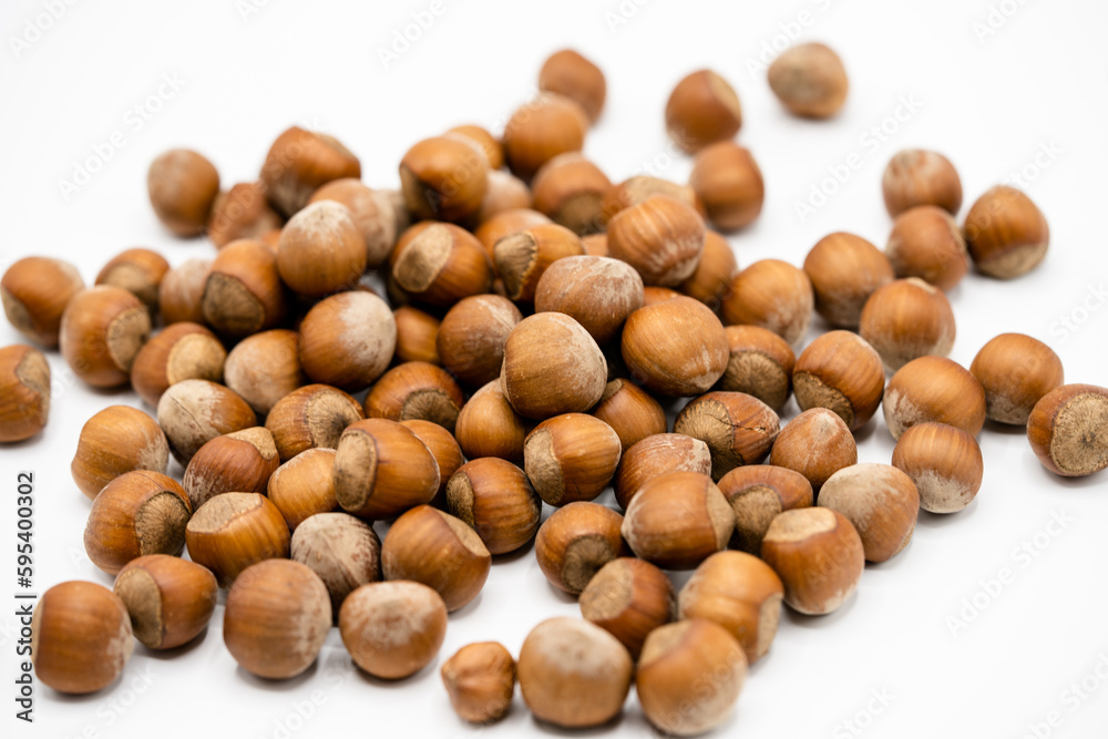 Pile of hazelnuts in a shell on white background Pile of hazelnuts in a shell on white background