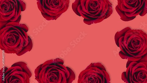 Wallpaper Mural Red rose flower background with stop motion effect. Seamless loop video Torontodigital.ca