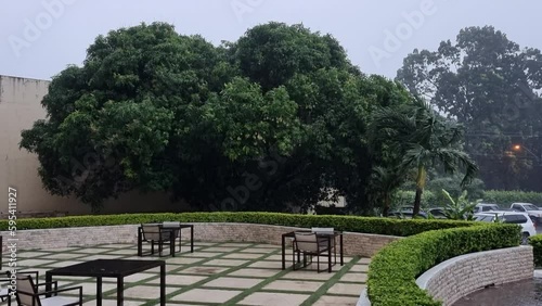 vientos huracanados mueven la vegetación y los arboles