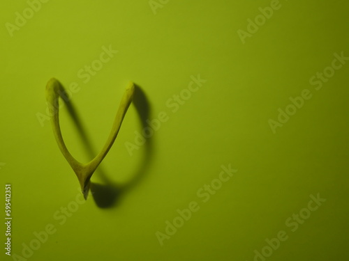 Konstfotografi Neon vivid wishbone