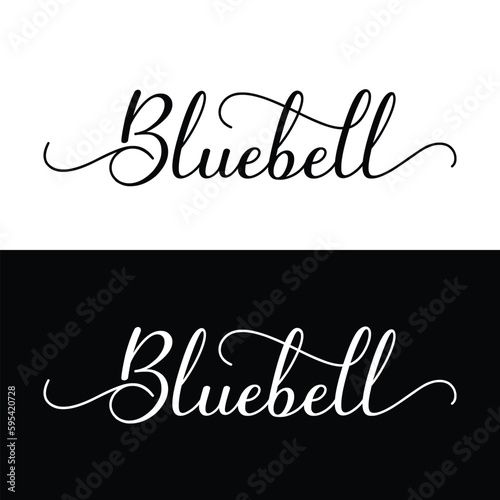 Abstract Black and White bluebell script font logo design template