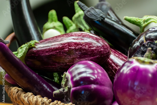 Variety of eggplant vegetables, white, graffiti, purple, round eggplant Violet