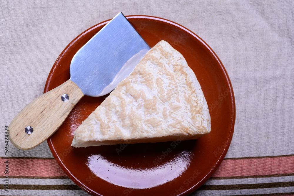 Piece of french soft-ripened white mold cow milk cheese brie produced in Seine-et-Marne region, France Piece of french soft-ripened white mold cow milk cheese brie produced in Seine-et-Marne region, France