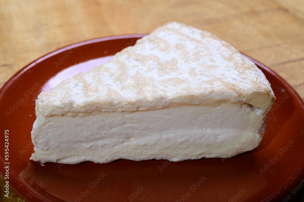 Piece of french soft-ripened white mold cow milk cheese brie produced in Seine-et-Marne region, France