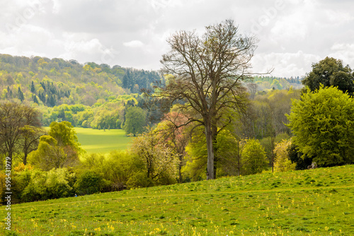 Εκτύπωση καμβά England, Hampshire