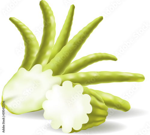 Green buddha hand fruit