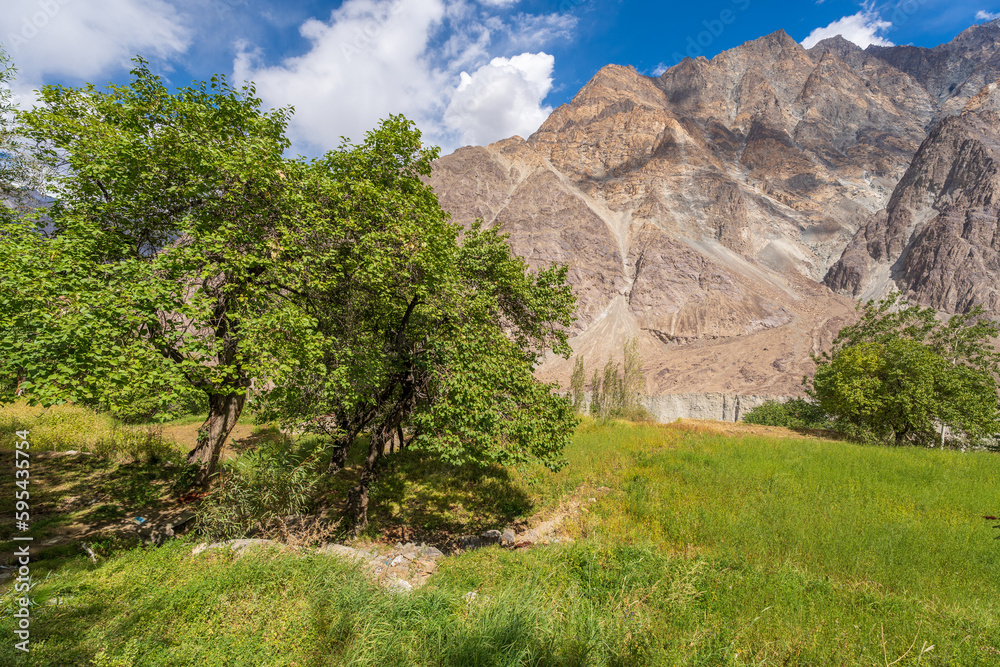 buckwheat flower field behind are mountains and cloudy sky in Thang village. Thang is a part of Turtuk village, which was under Pakistan's control until 1971, after which India gained control of it.