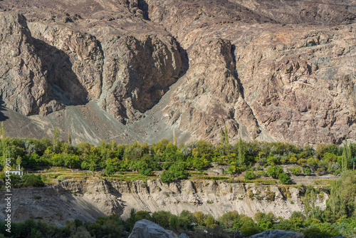 trees at Turtuk village, Nubra Valley, Ladakh, India.