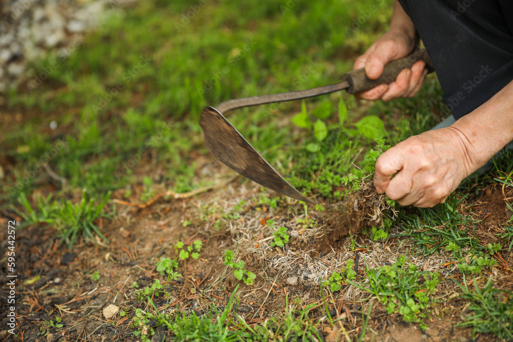 Gardening tools like trowels, spades, and shovels are essential for