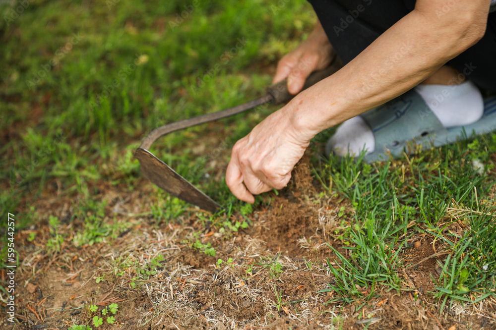 Gardening tools like trowels, spades, and shovels are essential for