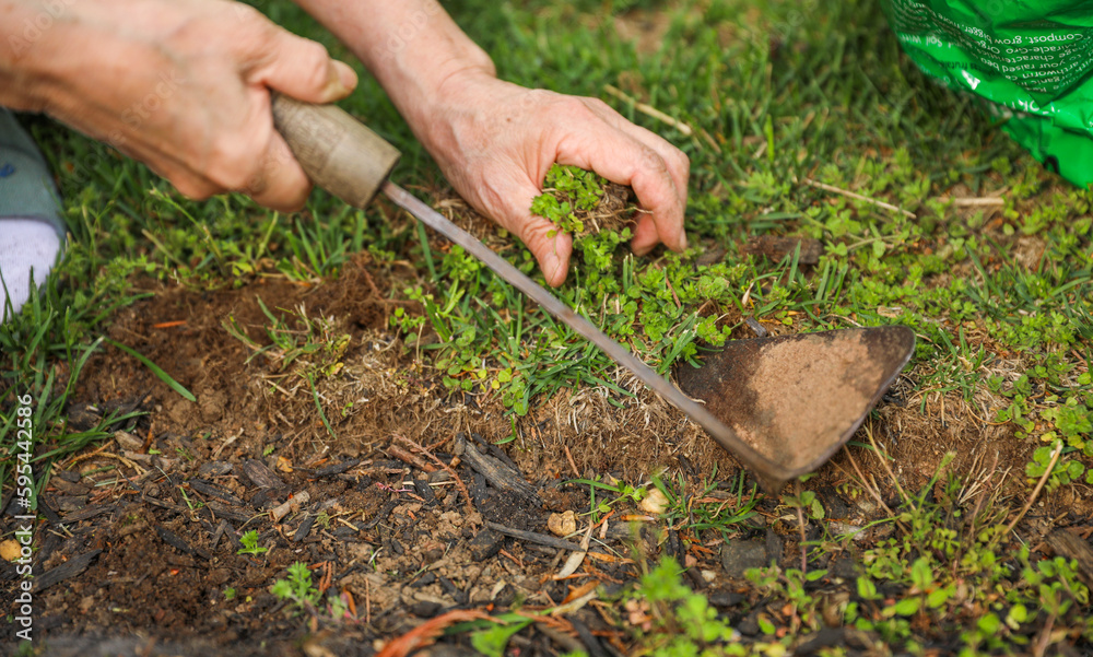 Gardening tools like trowels, spades, and shovels are essential for