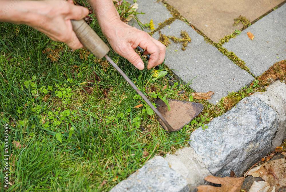 Gardening tools like trowels, spades, and shovels are essential for