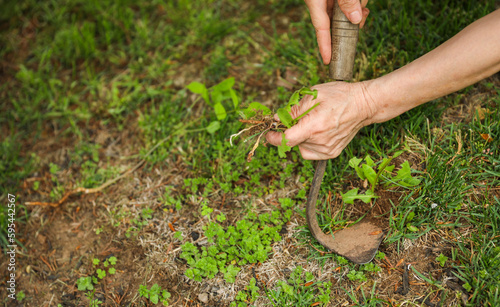 Gardening tools like trowels, spades, and shovels are essential for yard work, pulling weeds, and garden maintenance. Symbolizing hard work, creativity, and environmental stewardship