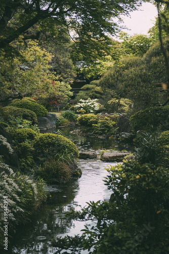 the garden of a traditional Japanese house