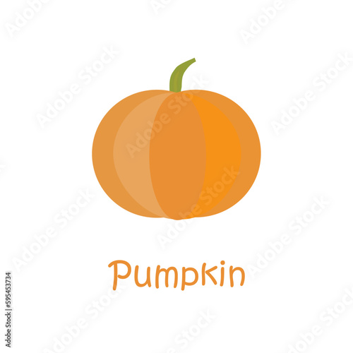 A simple isolated pumpkin icon on a white background. Vector illustration for an autumn Thanksgiving greeting card. Seasonal vegetables. Autumn harvest