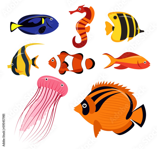 Set of sea creatures on white background vector