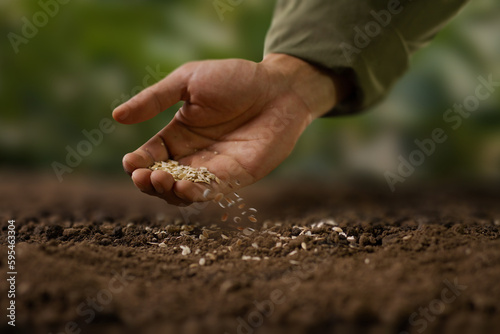 Expert farmer sowing seed on a good soil. grow vegetable and flower at garden concept.