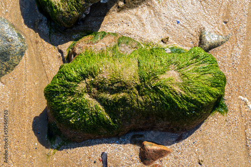 Bretagne an der cotes-d Armor photo