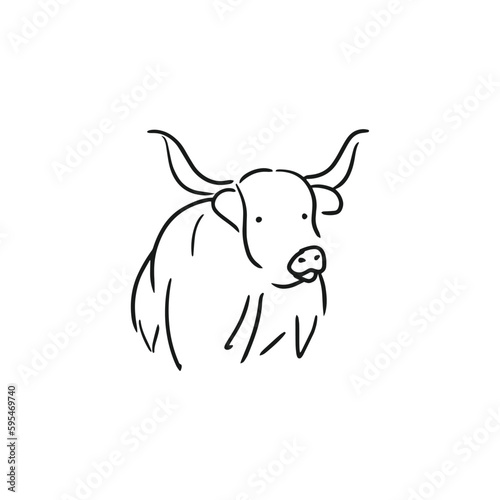 The Highland Cattle is a species of cow native to the Scottish Highlands and Scotland's Outer Hebrides island and has long horns and long hairy hair.