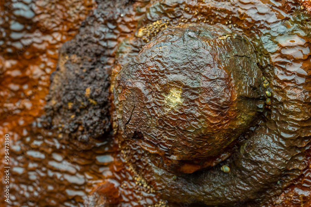 Fototapeta premium old rusted steel weathered by the sea