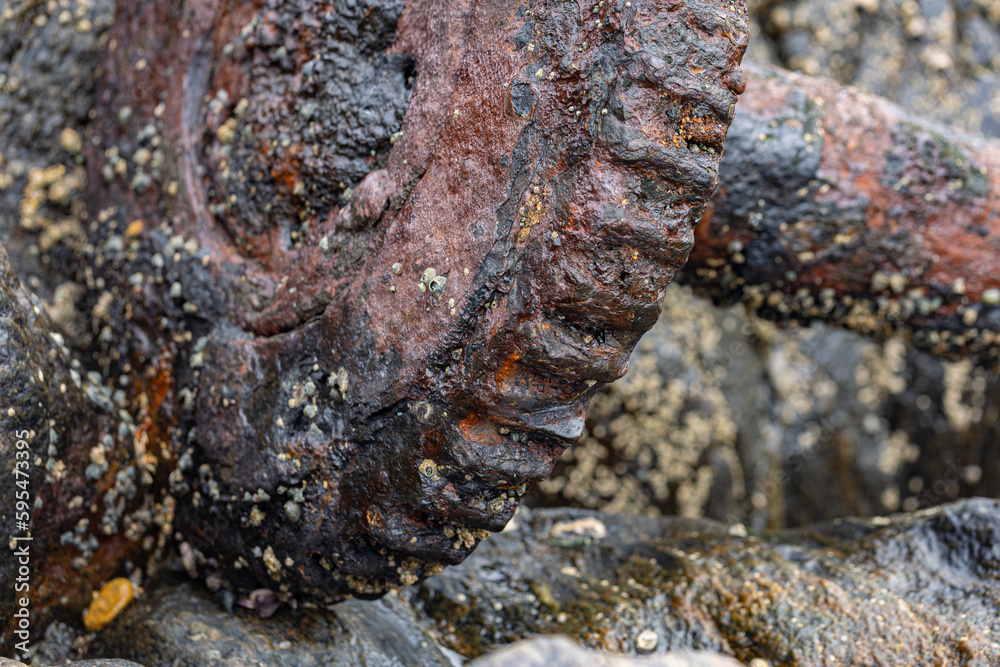 Fototapeta premium close up of rusted steel cog