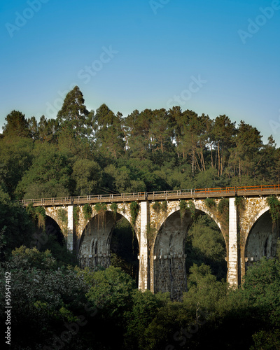 Train track on bridge in the middle of the forest