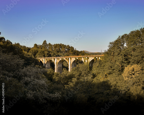 Train track on bridge in the middle of the forest