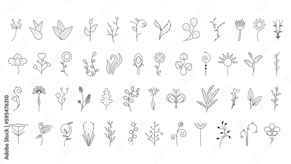 Big Abstract Set Doodle Elements Hand Drawn Collection Botanic Herbal Flora Leaf Branch Vine Flower Plant Elements F Vector Desgin Style