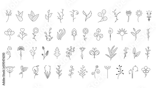 Big Abstract Set Doodle Elements Hand Drawn Collection Botanic Herbal Flora Leaf Branch Vine Flower Plant Elements F Vector Desgin Style © Дмитрий