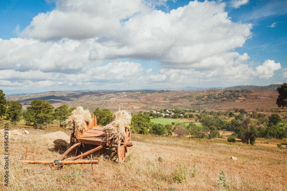 Obraz premium An ancient wooden cart loaded with hay against the backdrop of fertile fields and hills. Farming and agriculture.