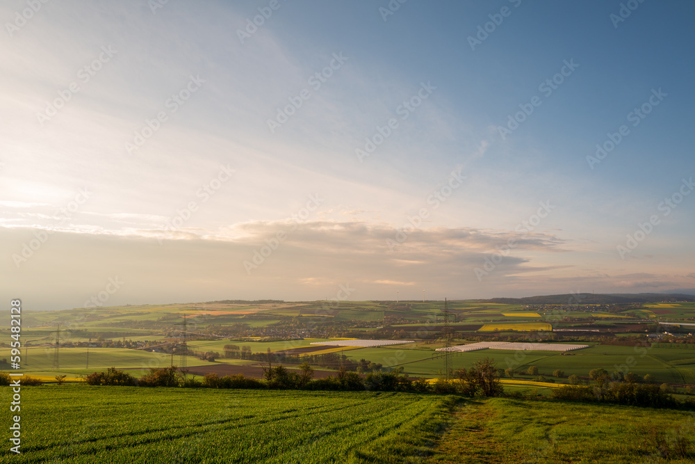 lush green fields on a spring morning