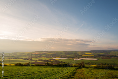 lush green fields on a spring morning