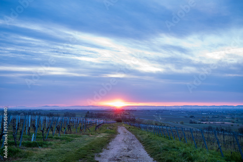 sunrise over the field