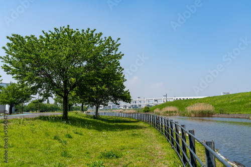 神奈川県横浜市　新横浜公園の風景